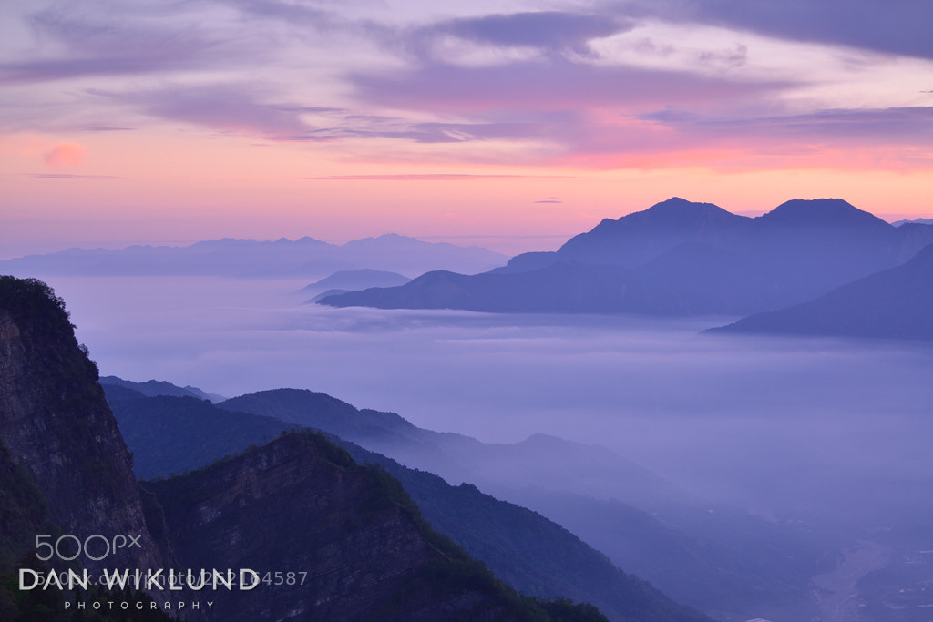 Nikon D800 sample photo. Looking down at the photography