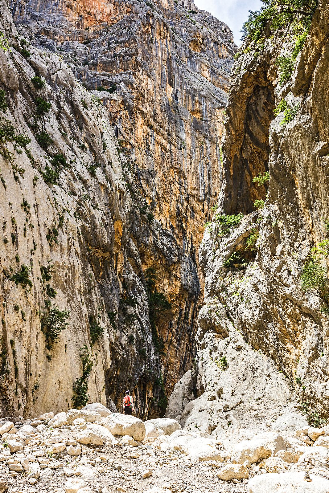 Canon EOS 5DS sample photo. Gorroppu canyon photography