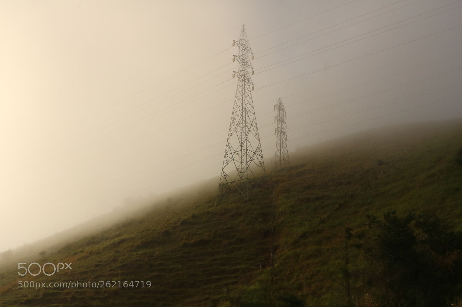 Canon EOS 750D (EOS Rebel T6i / EOS Kiss X8i) sample photo. Mist on the road photography