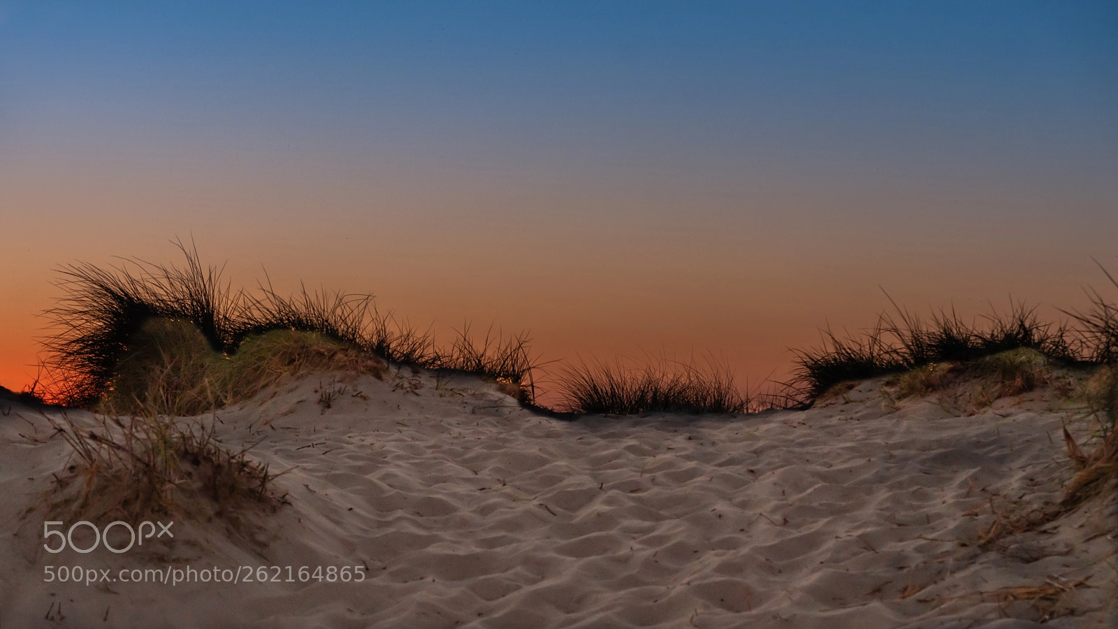 Panasonic Lumix DC-G9 sample photo. Sunset in the dunes. photography