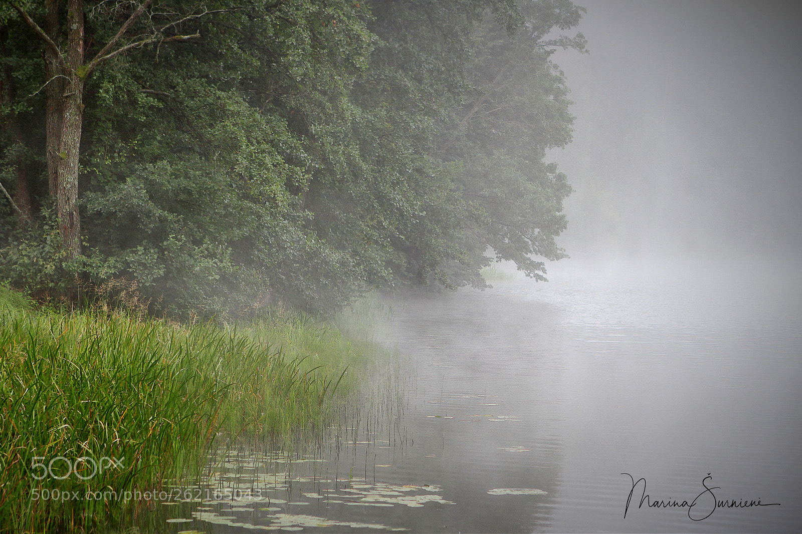 Canon EOS 7D sample photo. Morning tranquility photography