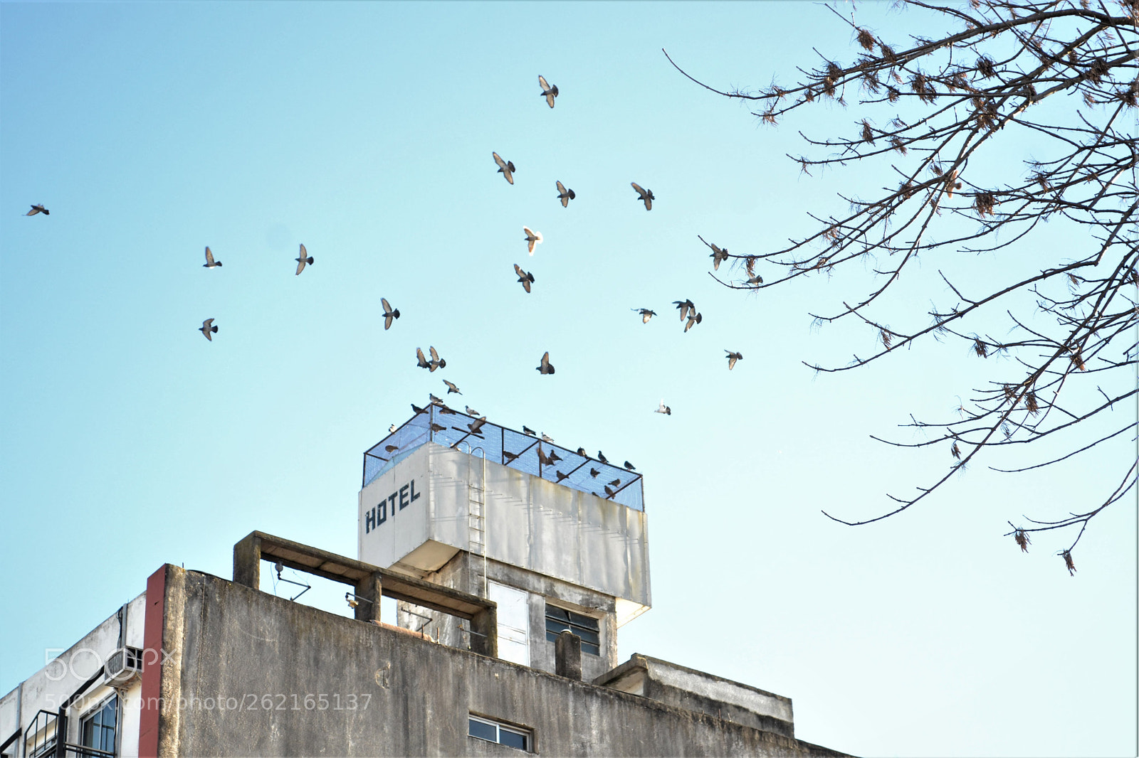 Nikon D3100 sample photo. Untitled photography