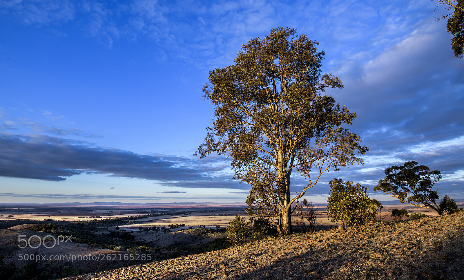 Nikon D810 sample photo. Flinders ranges near wilmington photography