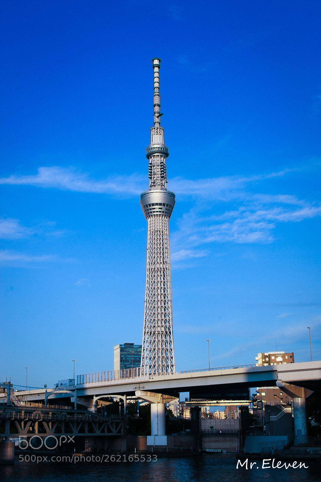 Canon EOS 70D sample photo. Sky tree photography