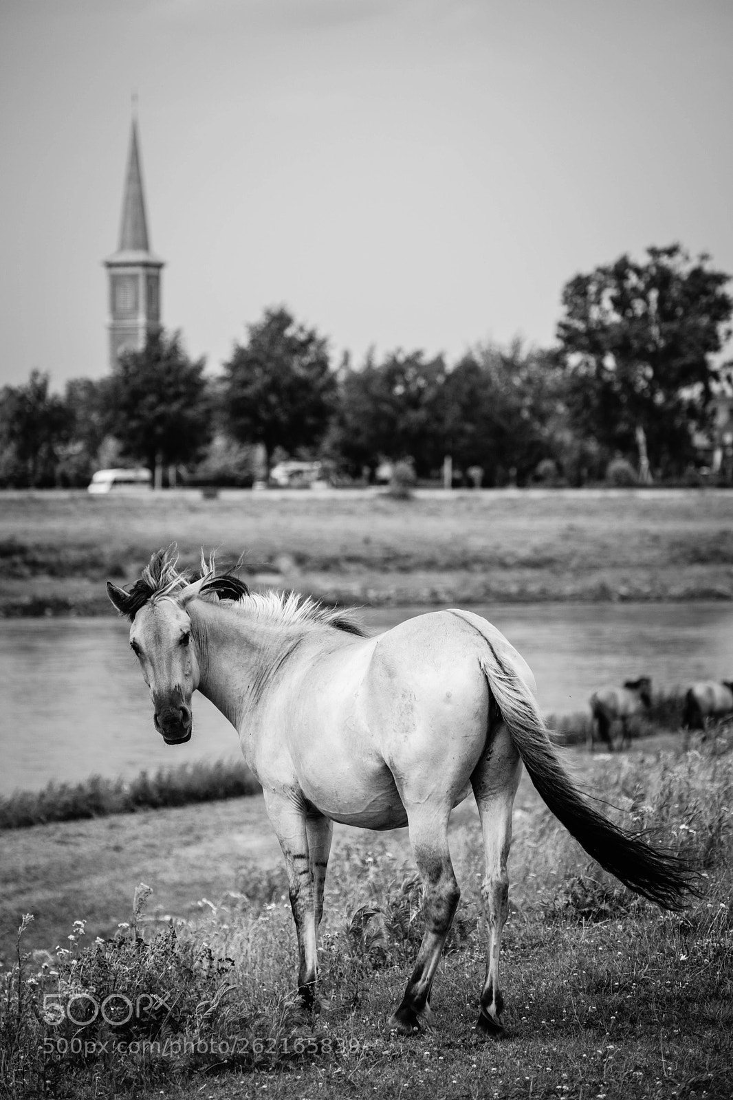 Fujifilm X-T2 sample photo. Maaseik photography
