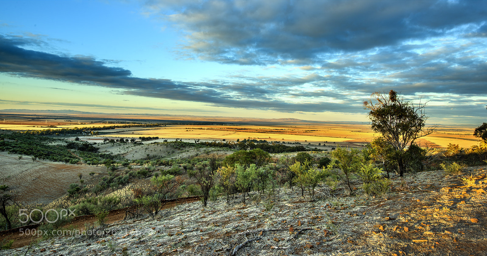 Nikon D810 sample photo. Flinders ranges near wilmington,south photography