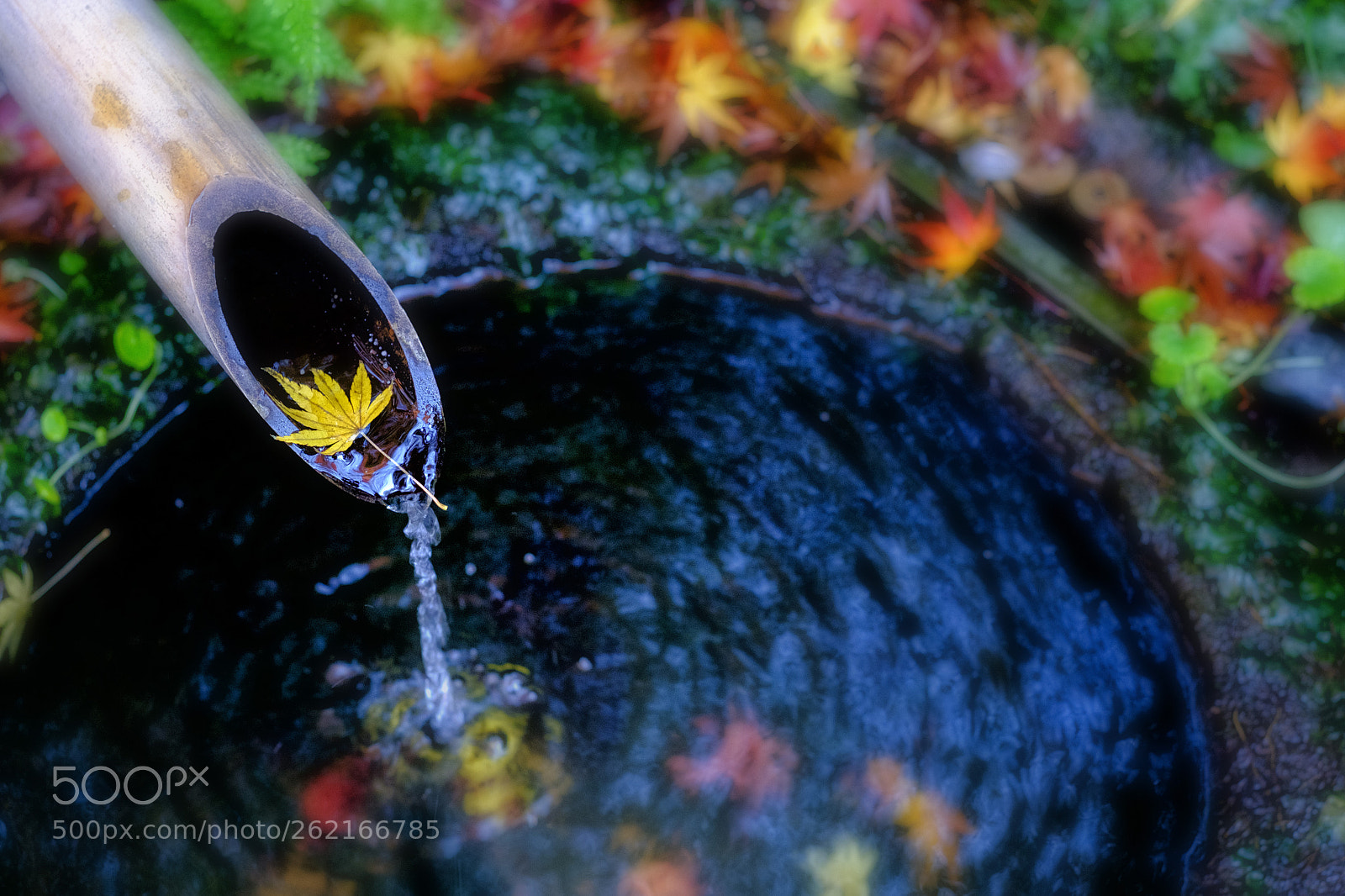 Fujifilm X-T10 sample photo. Water basin photography
