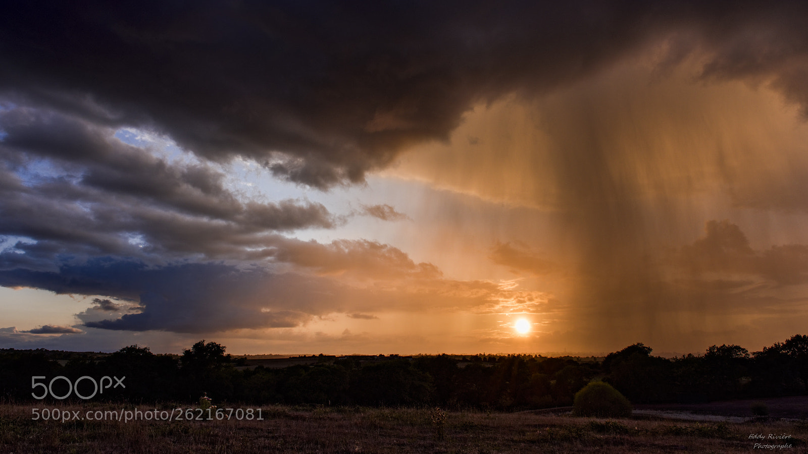 Nikon D810 sample photo. Rain at sunset photography