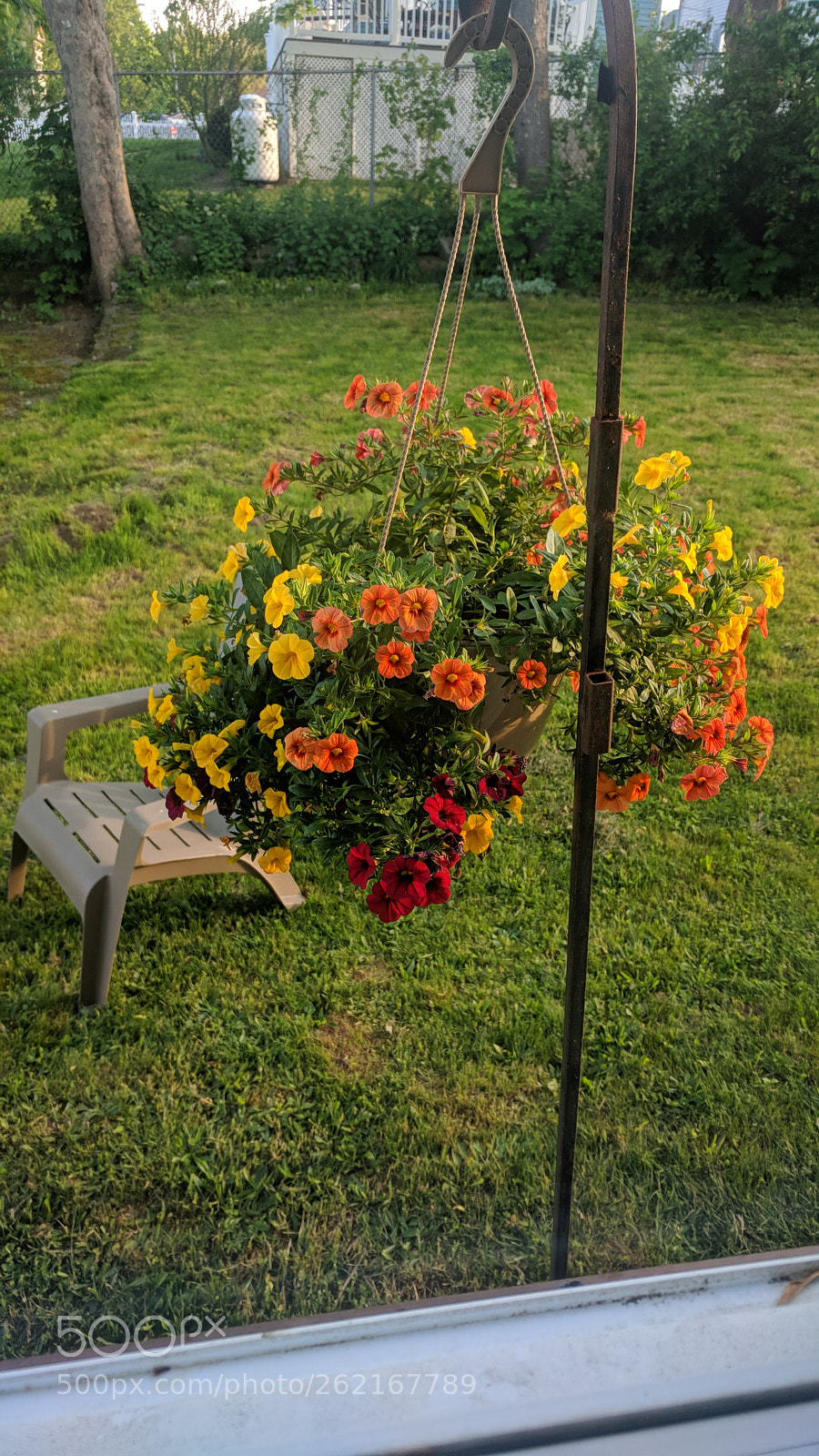 LG G5 sample photo. Flowers photography
