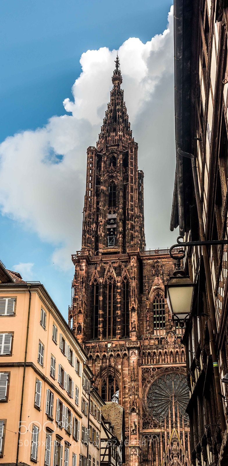 Nikon D750 sample photo. Cathédrale notre dame photography