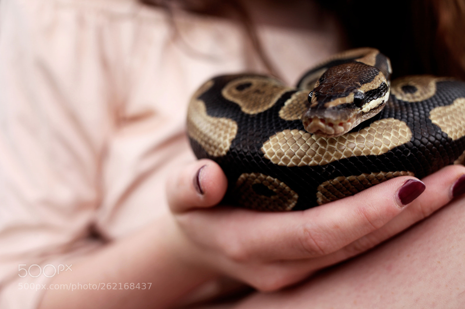 Canon EOS 5D Mark II sample photo. Otteacameronconcentration photography