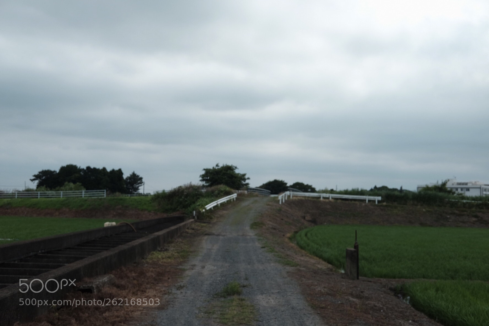 Fujifilm X-T10 sample photo. Untitled photography