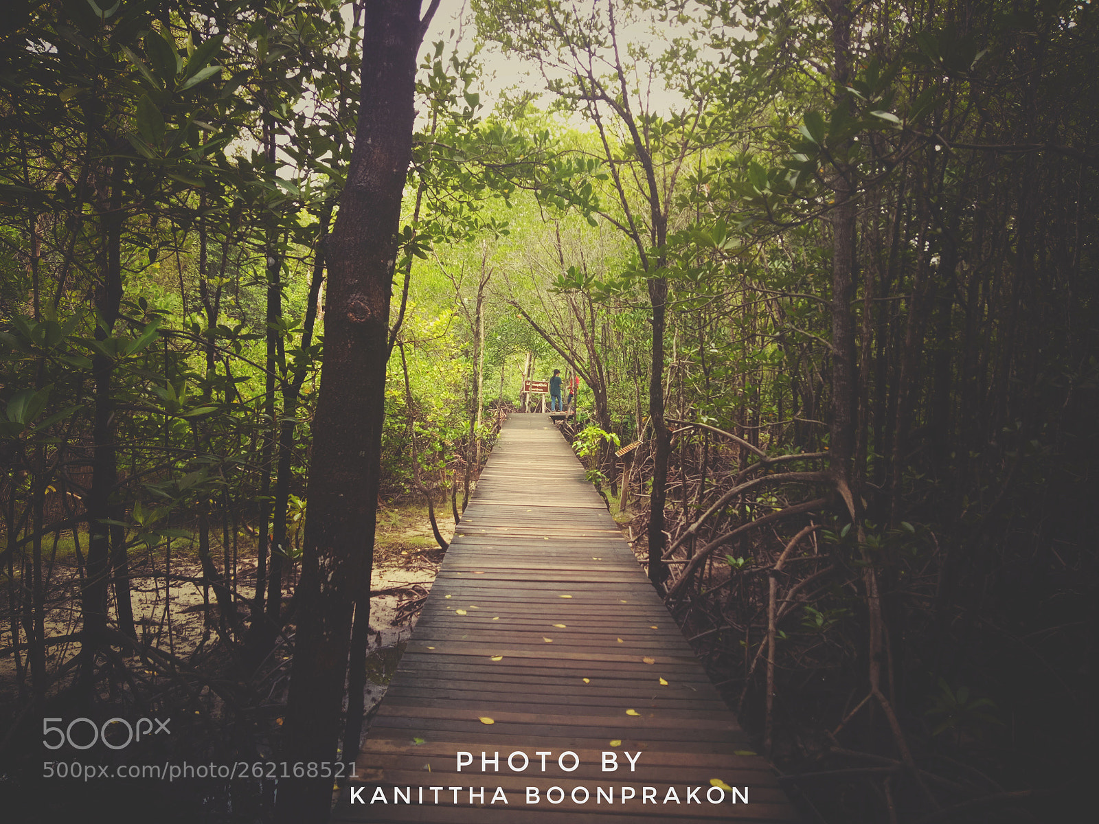 OPPO A1601 sample photo. Untitled photography