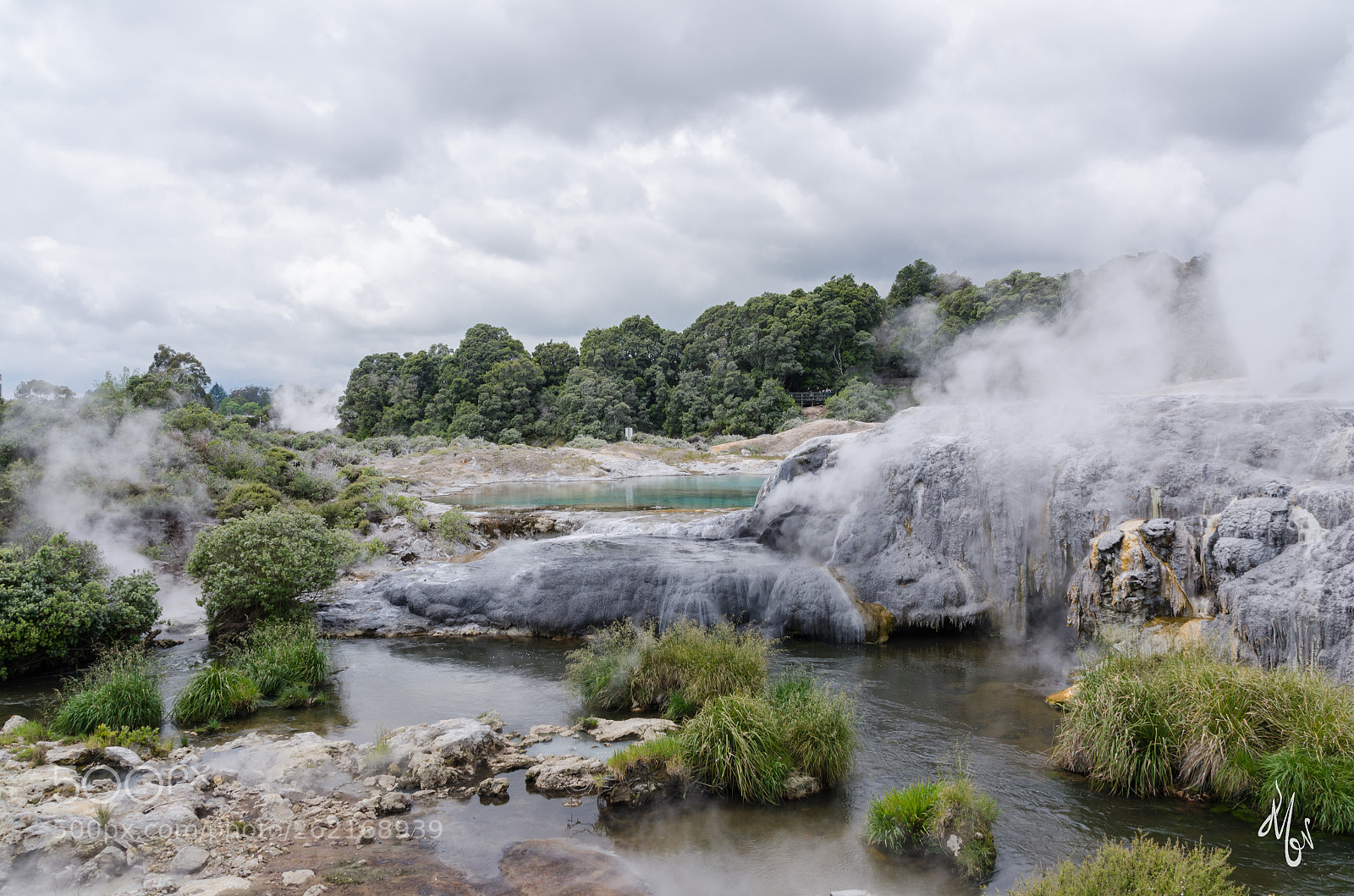 Nikon D7000 sample photo. New zealand photography