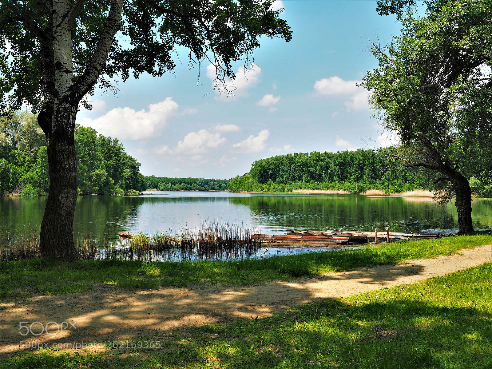 Olympus OM-D E-M5 II sample photo. In bright sunshine photography