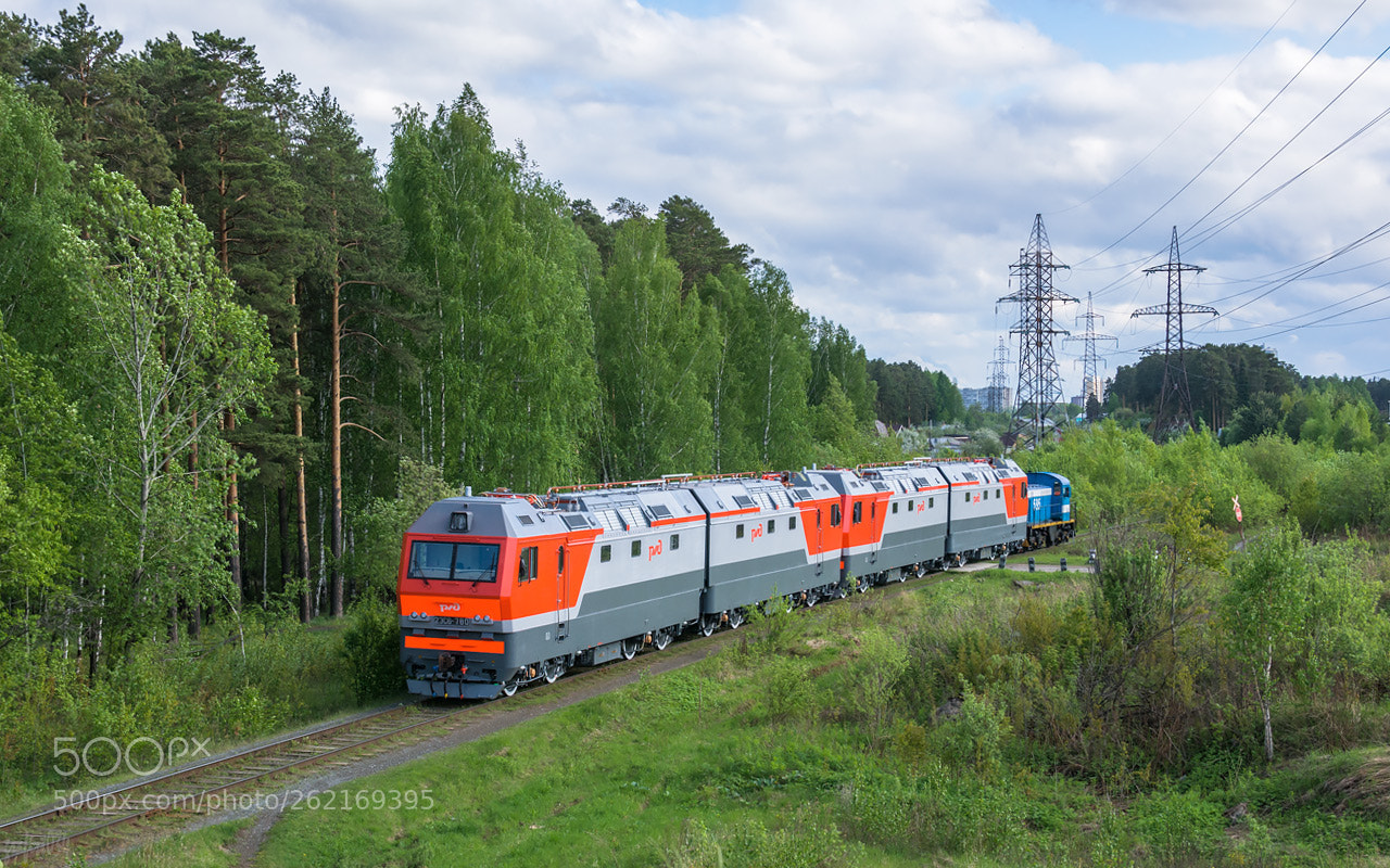 Nikon D7100 sample photo. "В новую жизнь!" photography