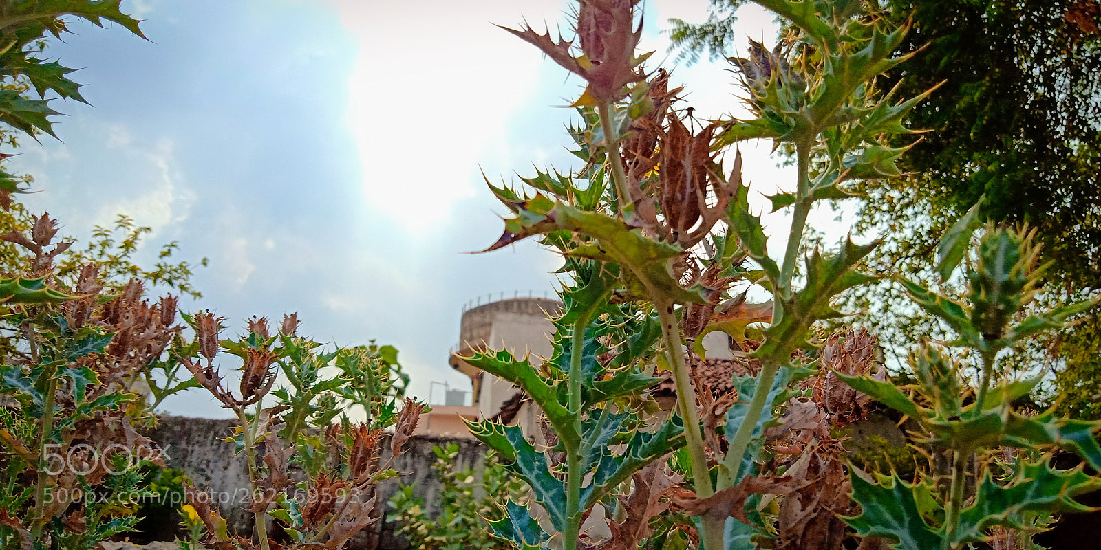 OPPO Realme 1 sample photo. Great nature's photo for photography