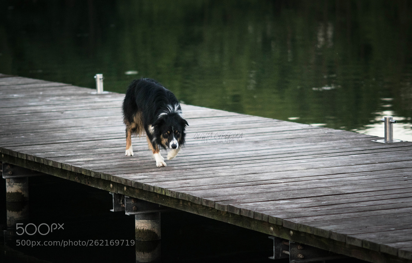 Nikon D5300 sample photo. Luc photography