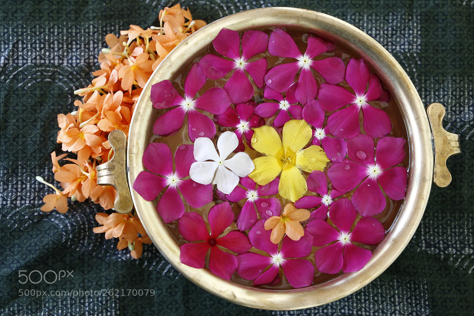 Canon EF 24-105mm F3.5-5.6 IS STM sample photo. Flowers photography