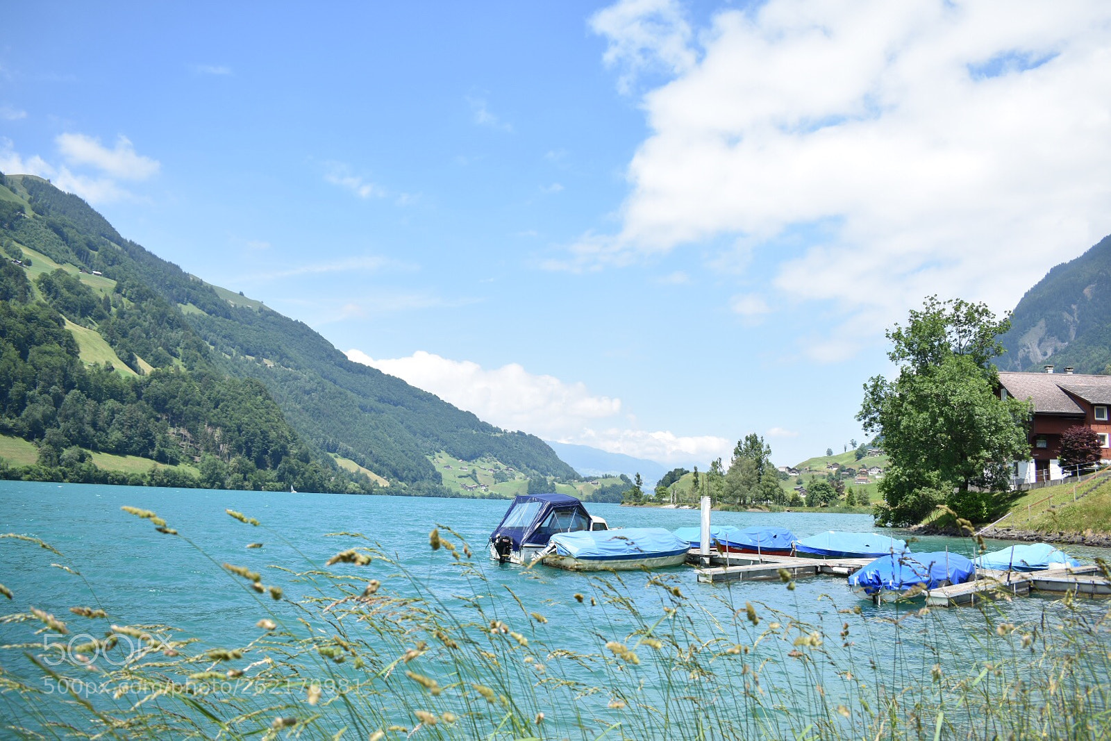 Nikon D3400 sample photo. , lungern photography