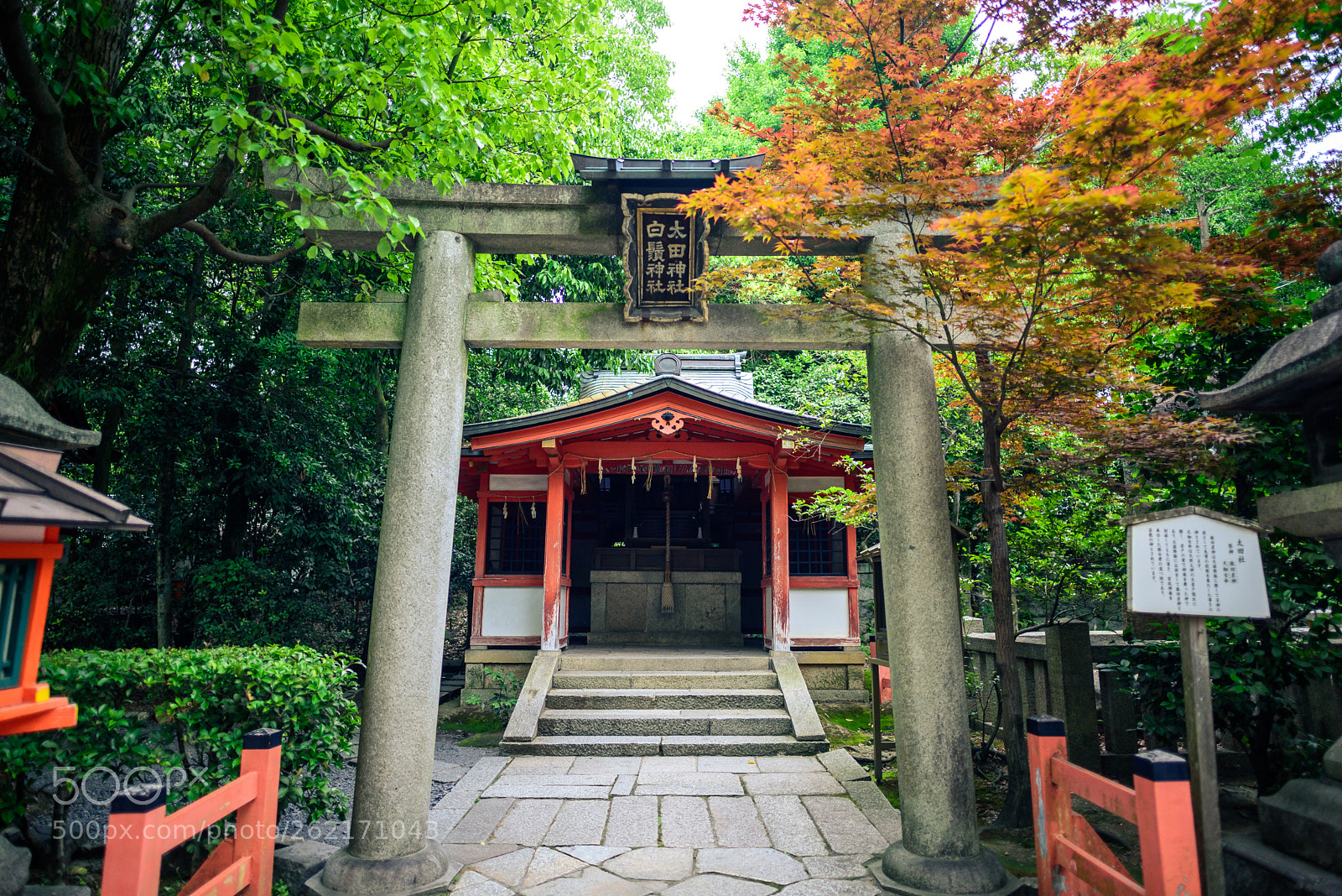 Nikon D750 sample photo. Kansai travel photography