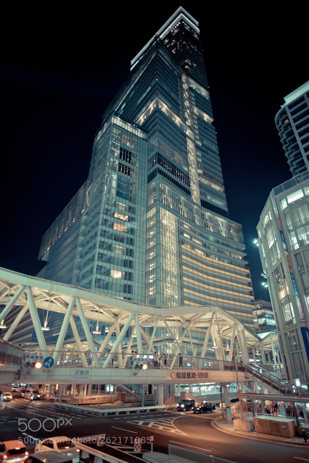 Nikon D750 sample photo. Kansai travel photography