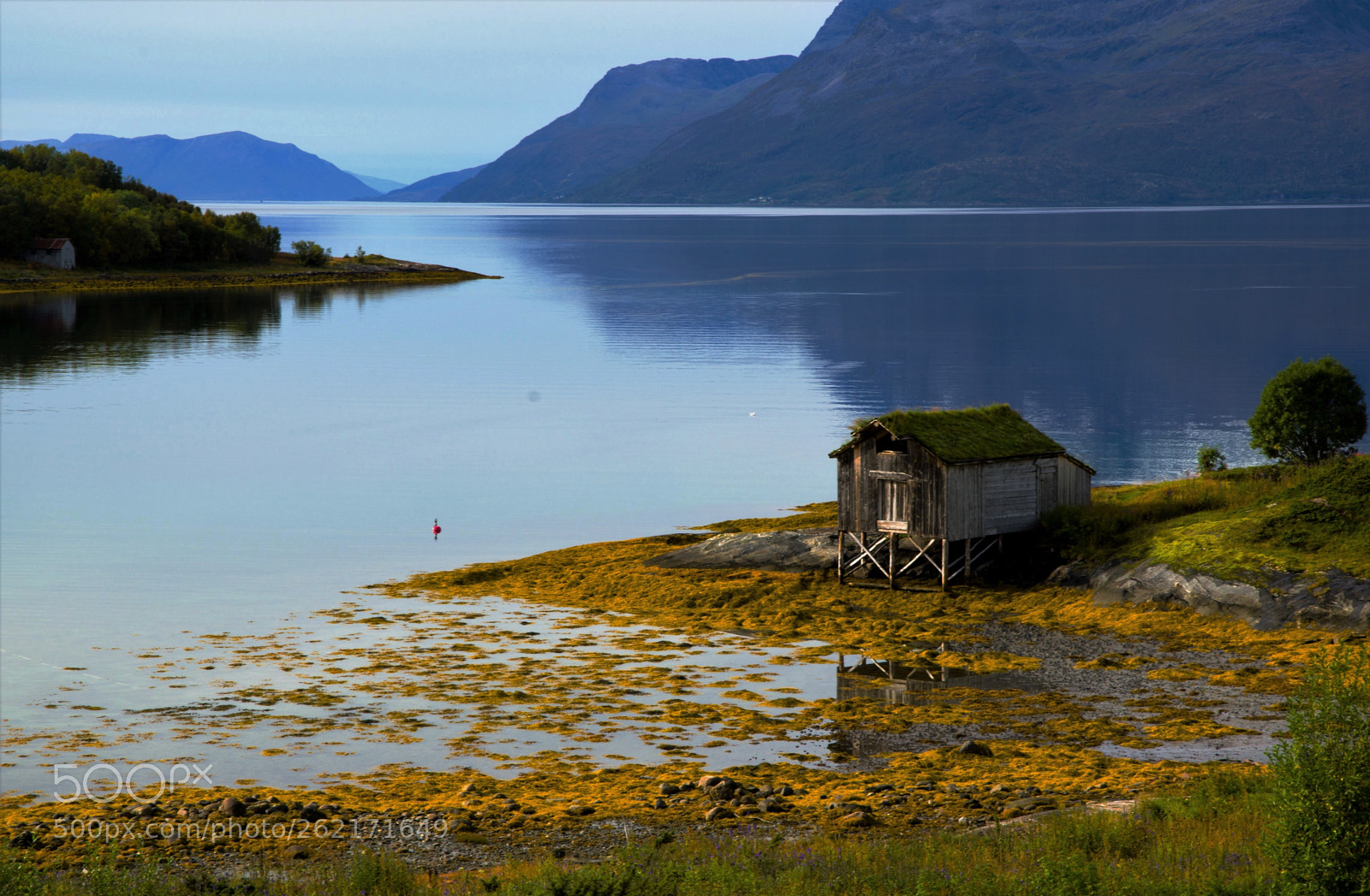 Pentax K-3 II sample photo. Island senja photography