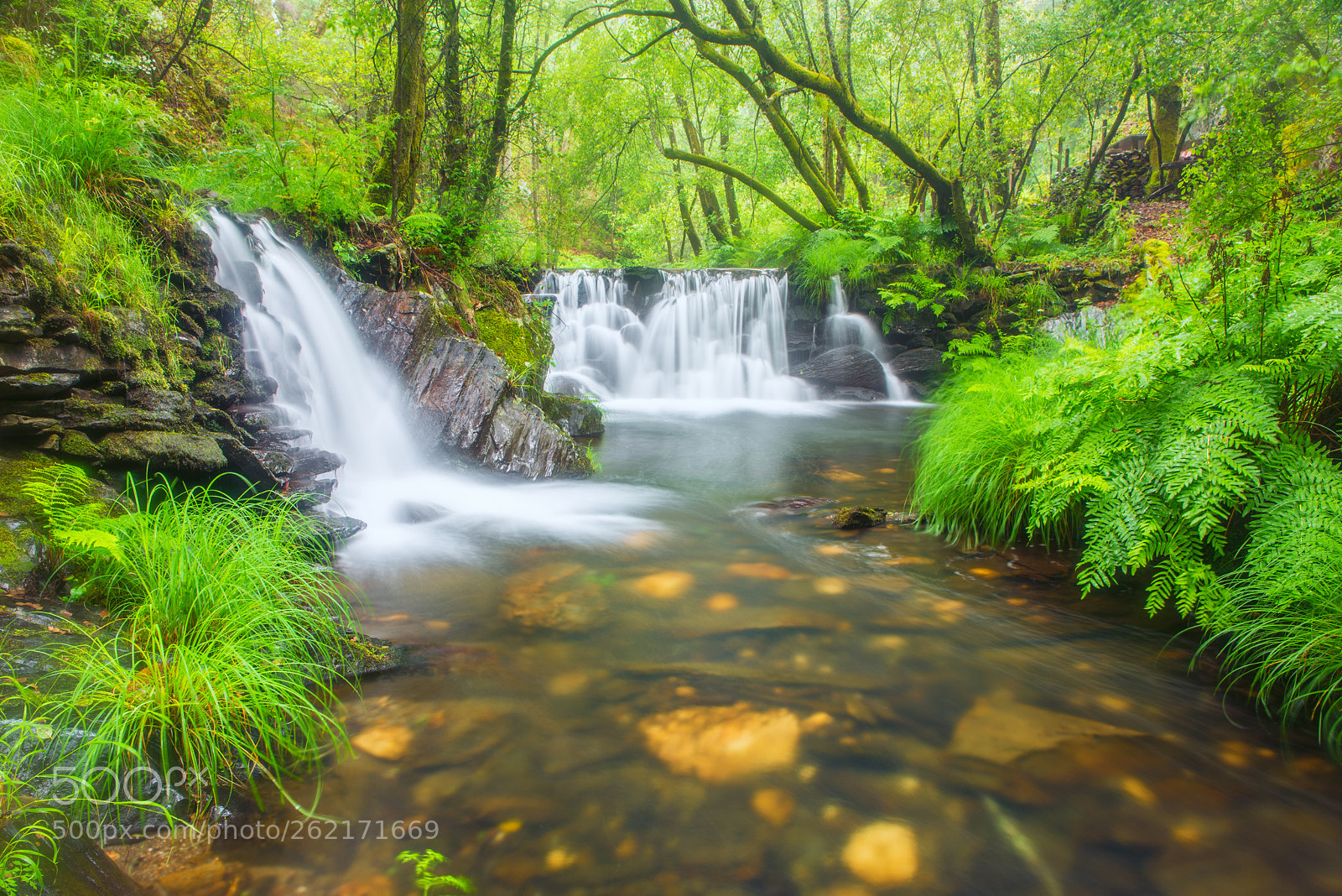 Nikon D600 sample photo. Clean water photography