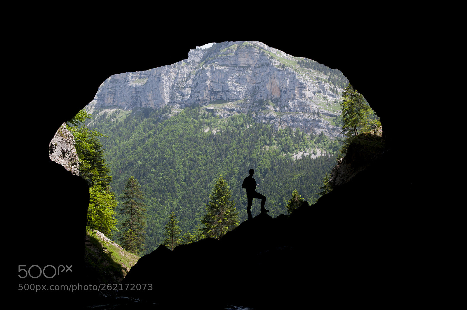 Pentax K-7 sample photo. Dans le ventre de photography