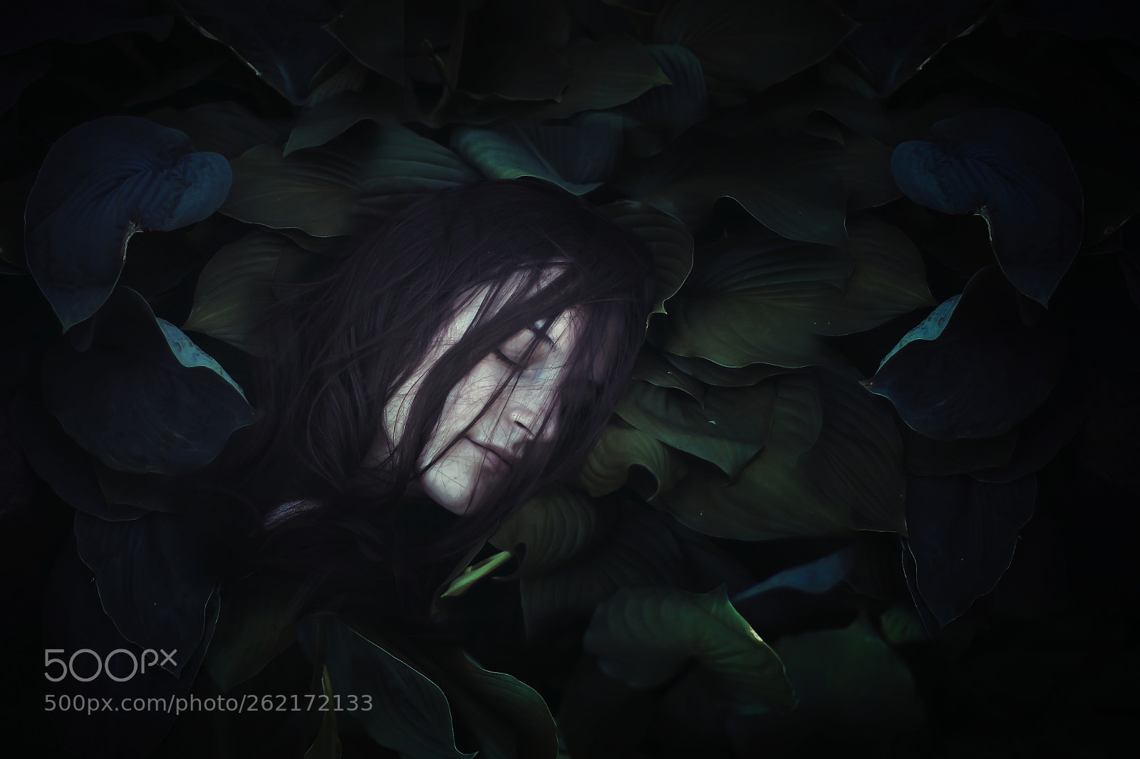 Canon EOS 60D sample photo. Deep sleep photography