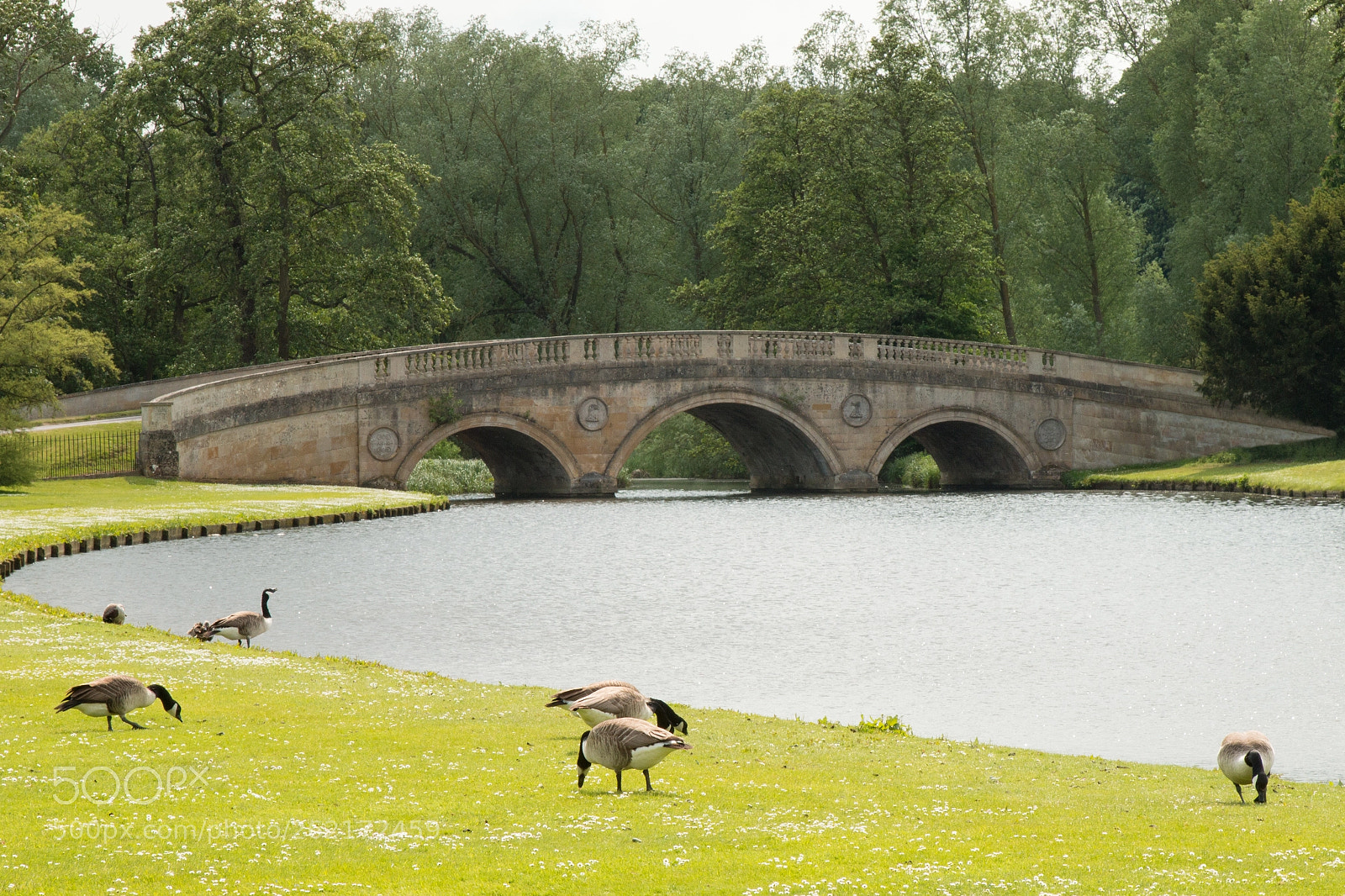 Canon EOS 70D sample photo. Audley end, adam bridge photography