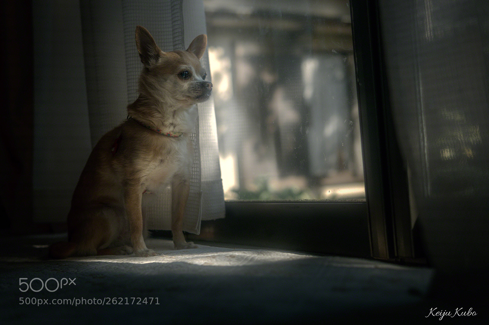 Sony a6500 sample photo. Through the window photography