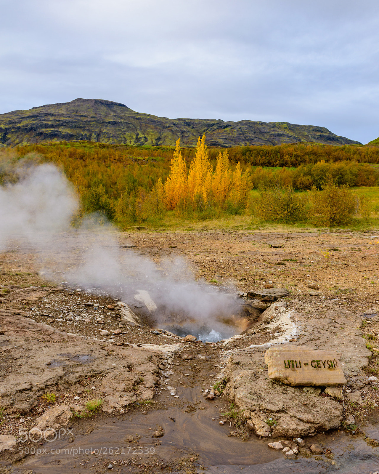 Nikon D5500 sample photo. Steam photography