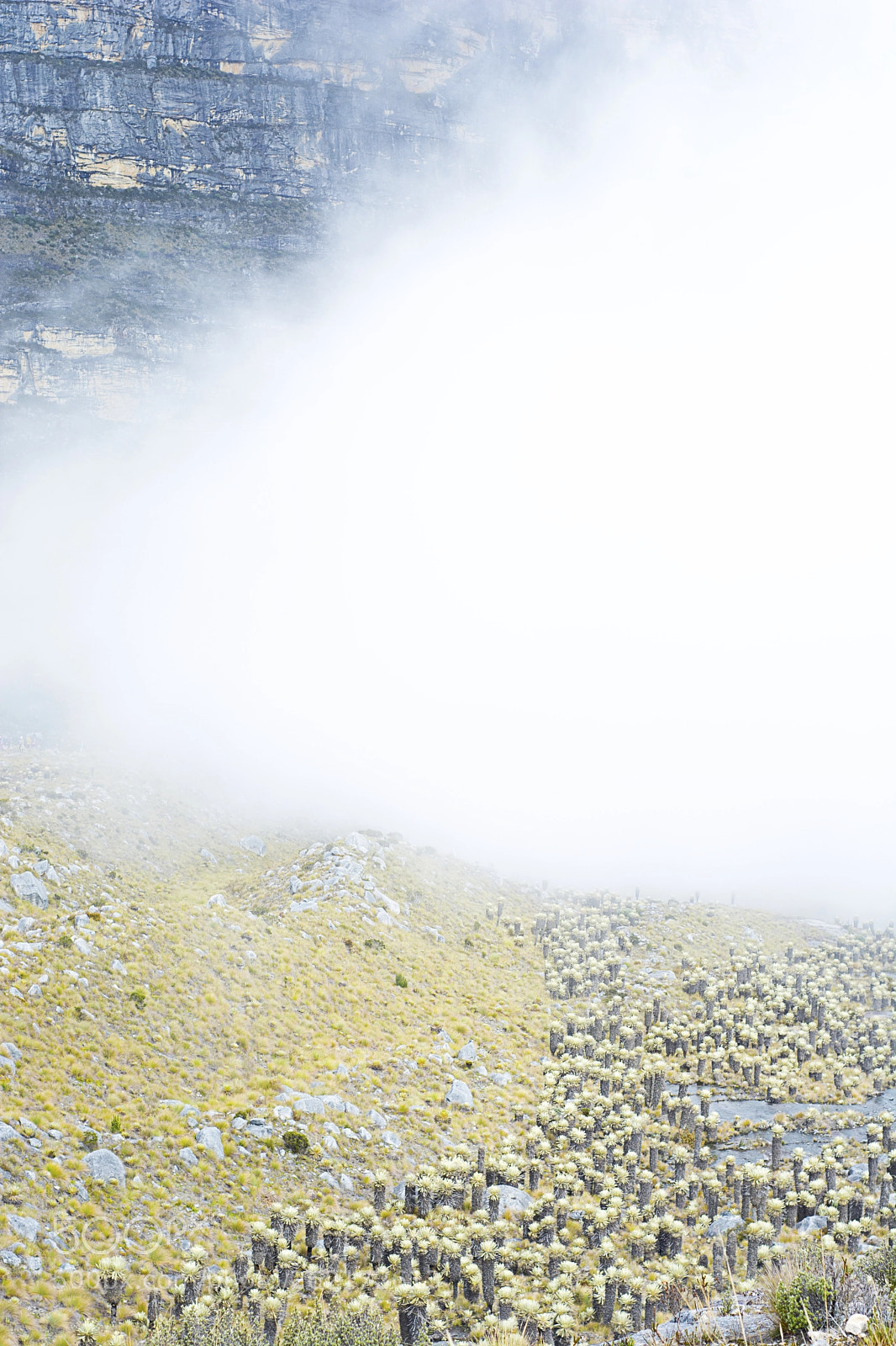 Nikon D7100 sample photo. Mountain cocoy photography