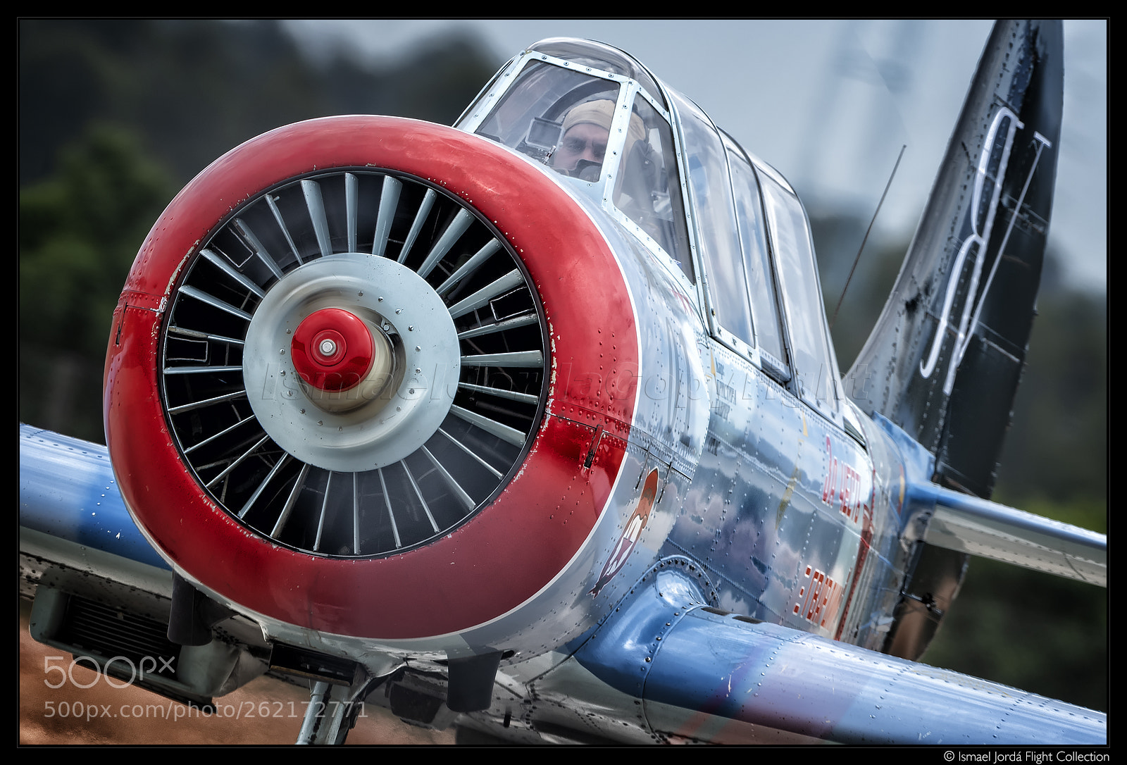 Nikon D850 sample photo. Javier amor + yak 52 (2018) photography