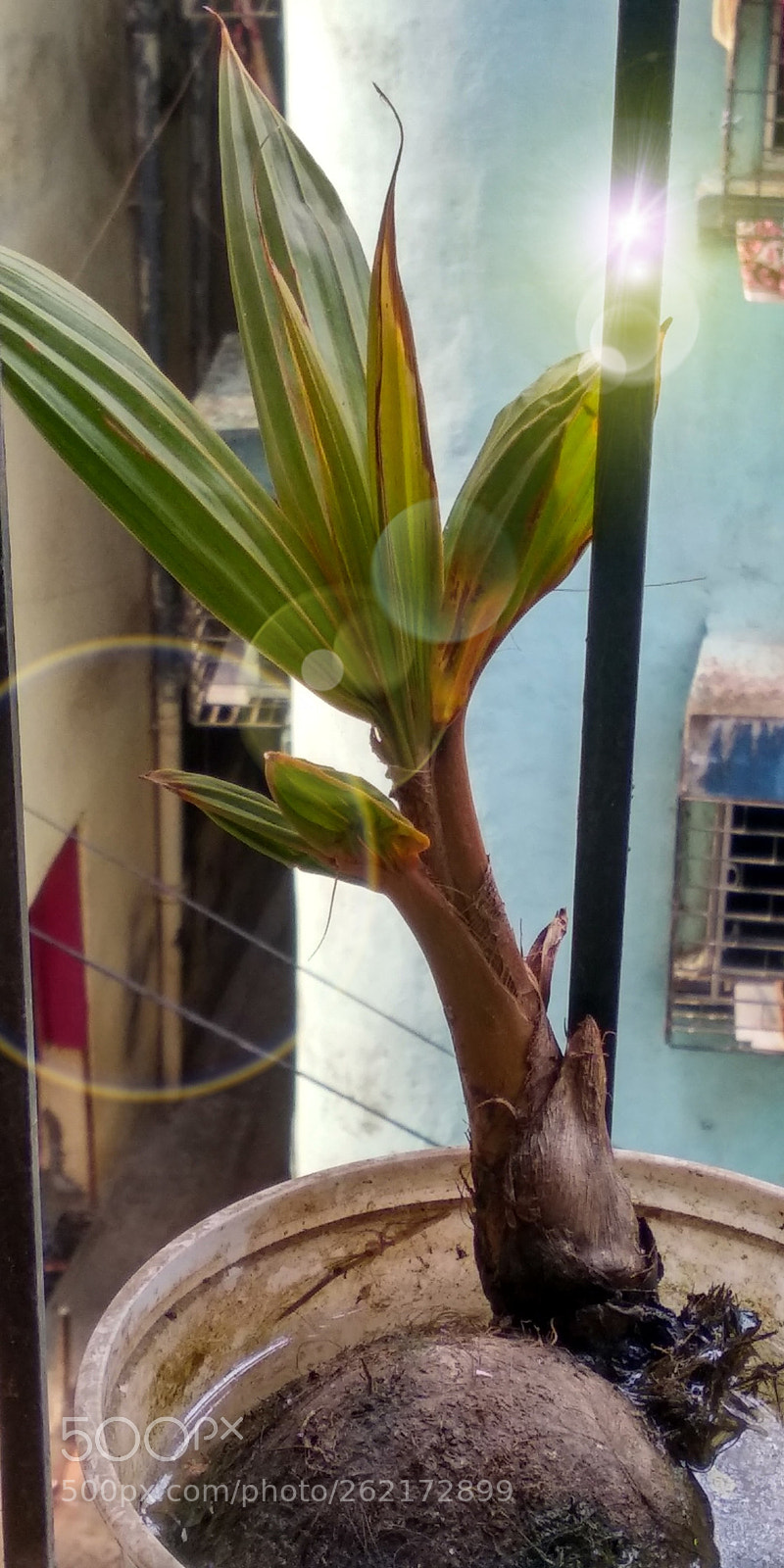 Xiaomi Redmi 5 sample photo. Untitled photography
