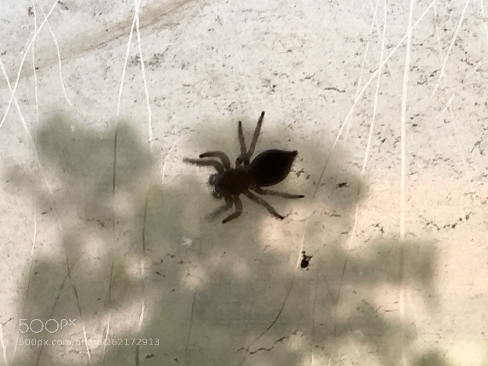 Apple iPhone SE sample photo. Img photography
