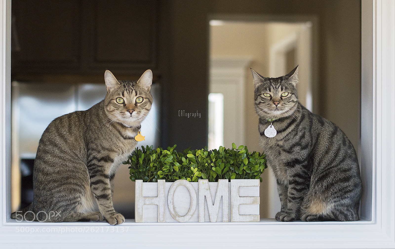 Nikon D3200 sample photo. A house is not photography