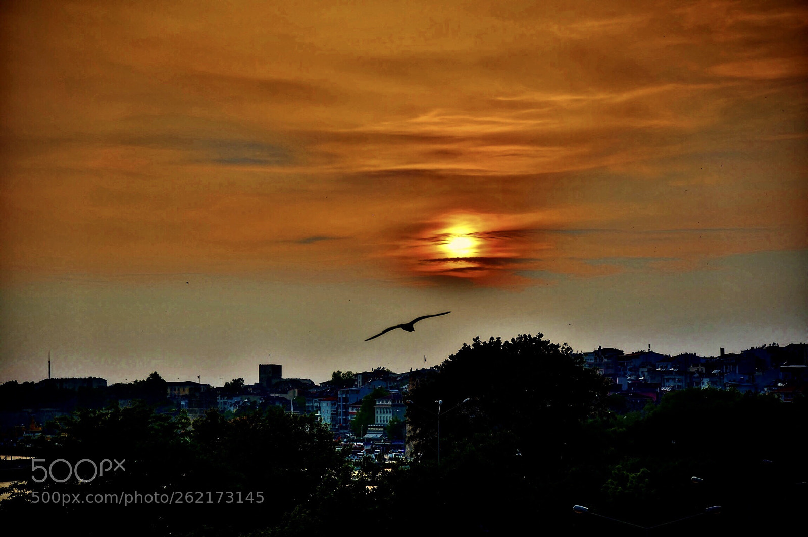 Nikon D750 sample photo. Sunset  photography