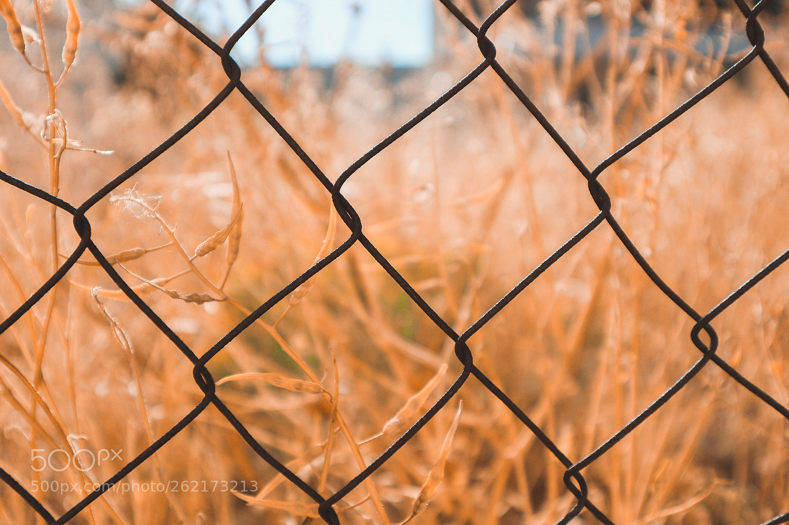 Canon EOS M10 sample photo. Untitled photography