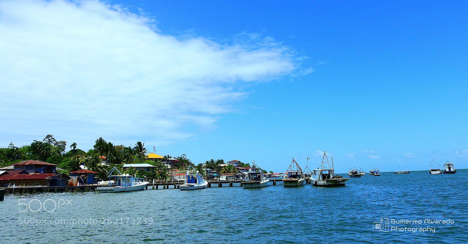 Nikon Coolpix P900 sample photo. The town photography