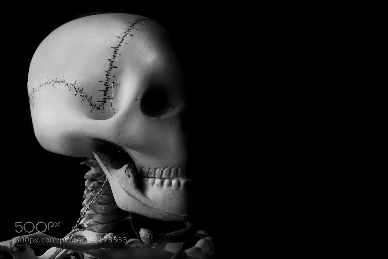 Nikon D5300 sample photo. Human skeleton photography