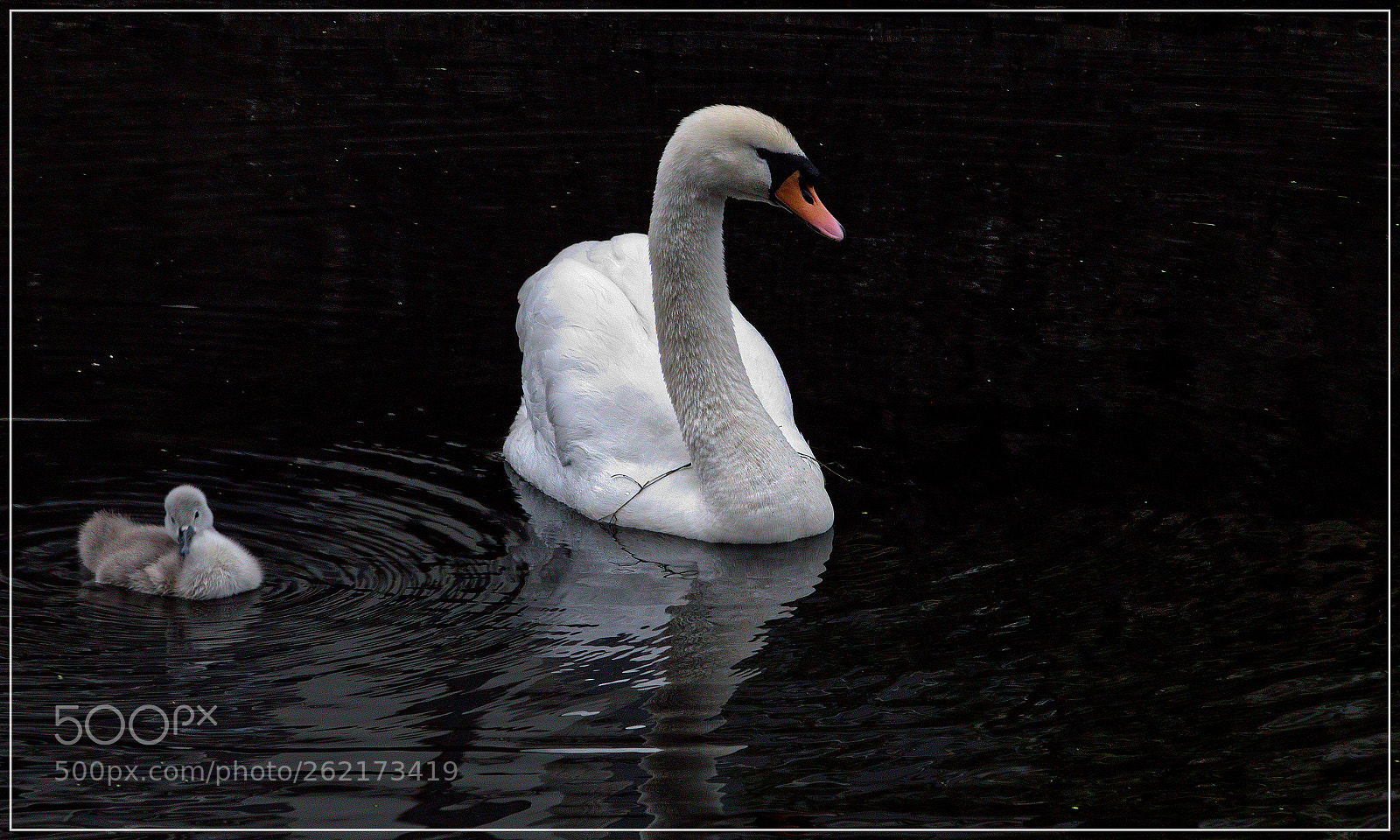 Pentax K-S2 sample photo. Moeder en dochter photography