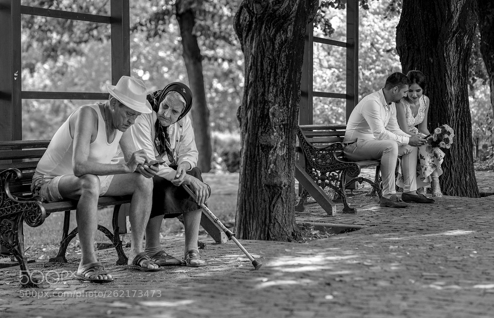 Canon EOS 6D sample photo. Transition photography