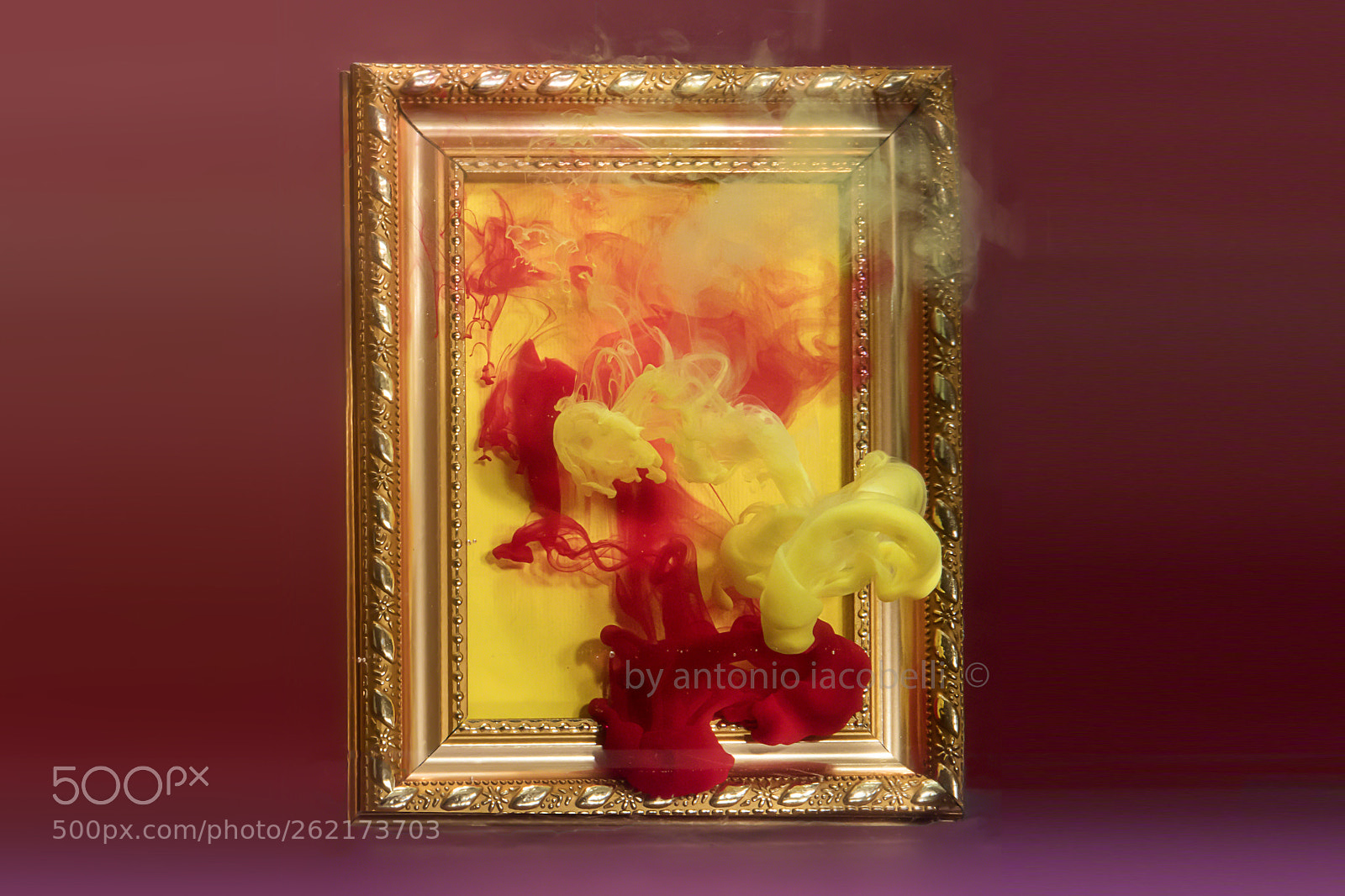 Nikon D850 sample photo. Abstract underwater... photography