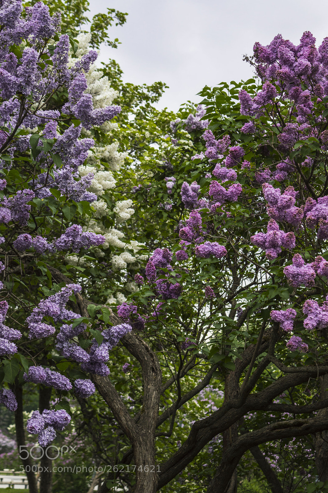 Nikon D3200 sample photo. 1.jpg photography