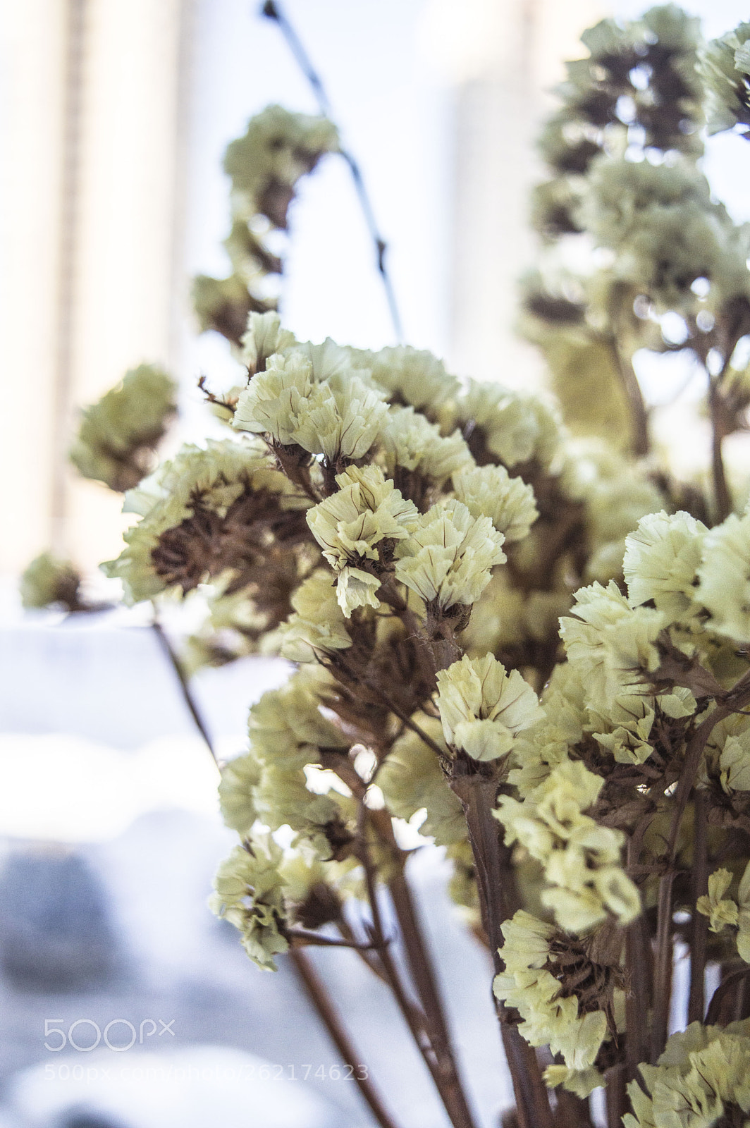 Nikon D3200 sample photo. 1_1.jpg photography
