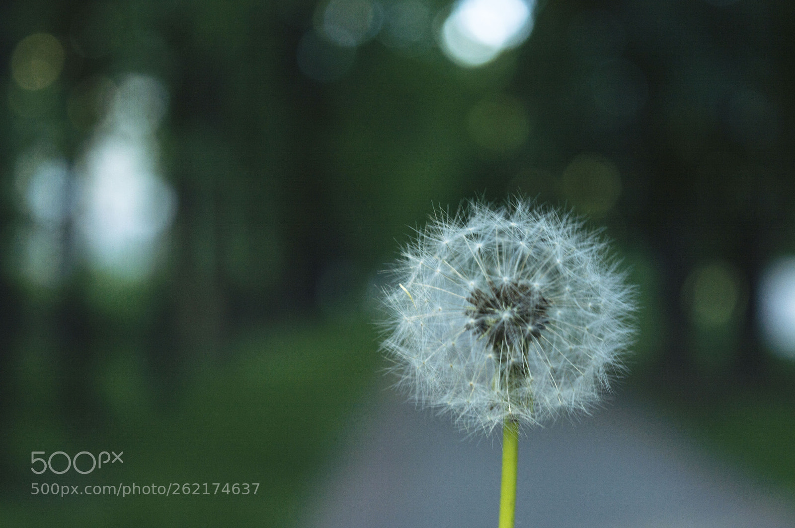 Nikon D3200 sample photo. 354.jpg photography