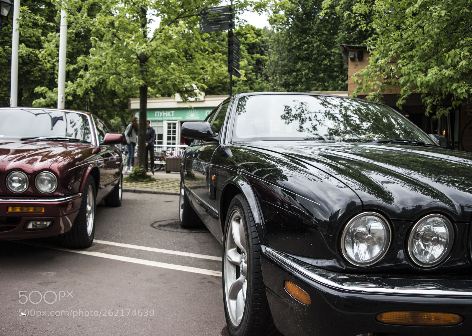 Nikon D3200 sample photo. 346.jpg photography