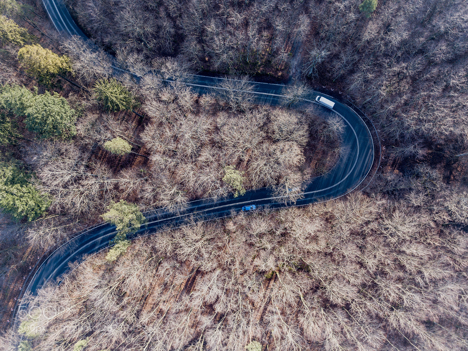 DJI FC220 sample photo. Curvedroad jpg photography